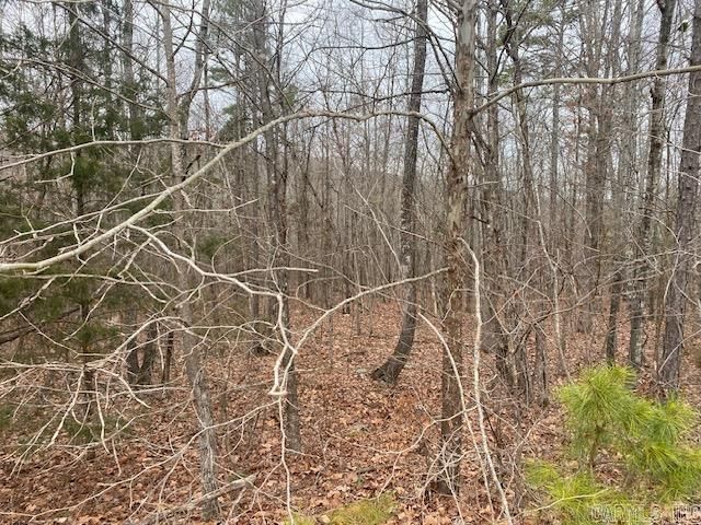 Lot 75 Mustang Drive, Clinton, AR 72031