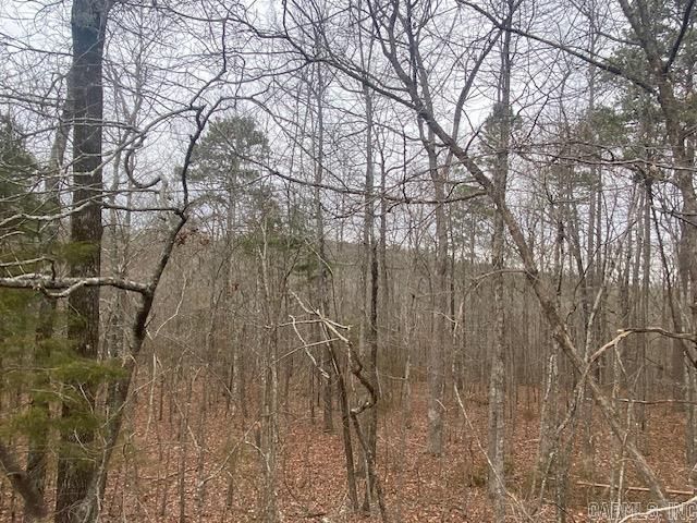 Lot 75 Mustang Drive, Clinton, AR 72031