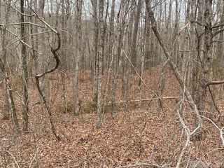 Lot 75 Mustang Drive, Clinton, AR 72031