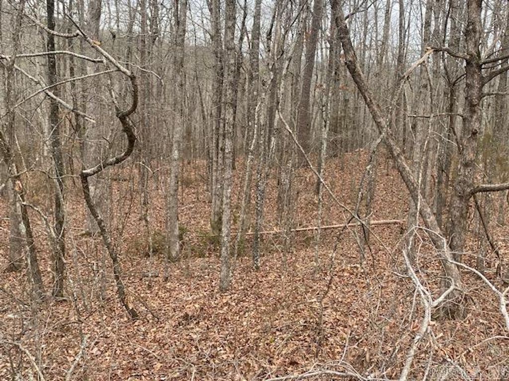 Lot 75 Mustang Drive, Clinton, AR 72031