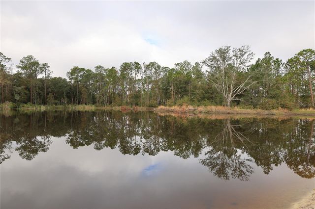 2803 LOTUS FLOWER TRAIL, Wesley Chapel, FL 33543