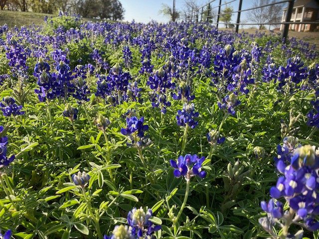 3829 Fm 2738, Alvarado, TX 76009