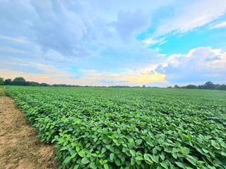 0004 County Road 26, Marengo, OH 43334