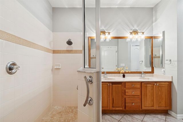 19128 LAKE AUDUBON DRIVE, Tampa, FL 33647