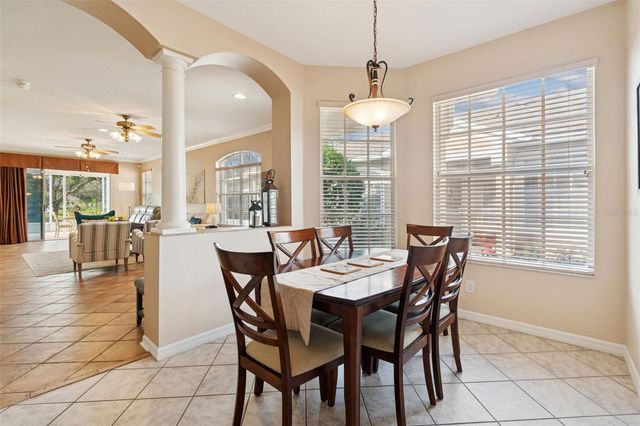 19128 LAKE AUDUBON DRIVE, Tampa, FL 33647