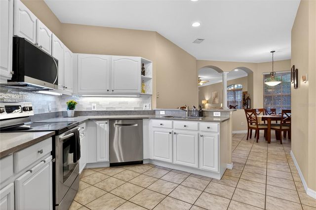 19128 LAKE AUDUBON DRIVE, Tampa, FL 33647