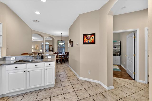 19128 LAKE AUDUBON DRIVE, Tampa, FL 33647