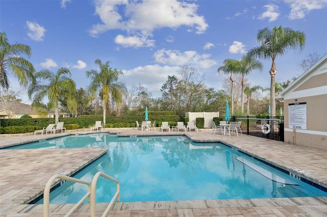 19128 LAKE AUDUBON DRIVE, Tampa, FL 33647