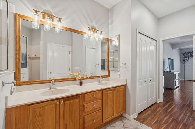 19128 LAKE AUDUBON DRIVE, Tampa, FL 33647