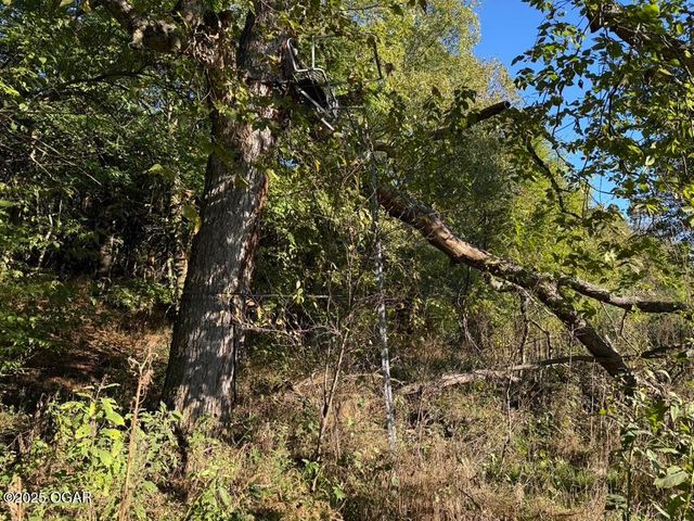 7777 Cr-110, Carthage, MO 64836