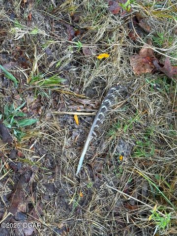 7777 Cr-110, Carthage, MO 64836