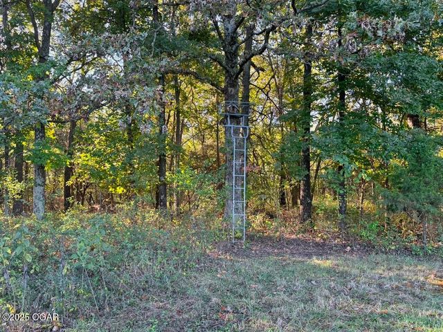 7777 Cr-110, Carthage, MO 64836