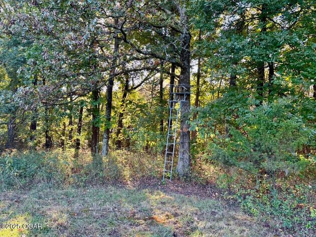 7777 Cr-110, Carthage, MO 64836