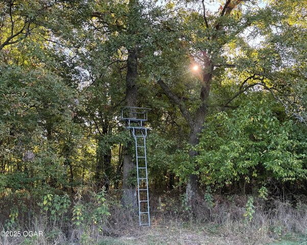 7777 Cr-110, Carthage, MO 64836