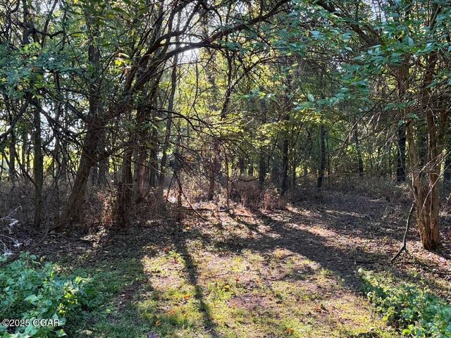 7777 Cr-110, Carthage, MO 64836