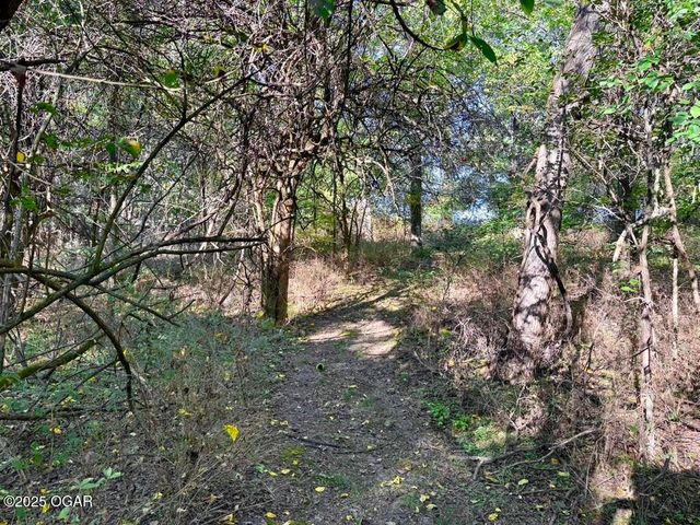 7777 Cr-110, Carthage, MO 64836