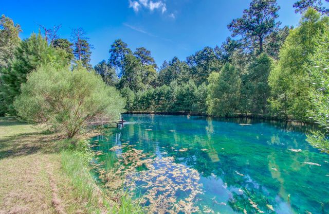 23478 Hwy 146 N, Cleveland, TX 77327