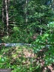 0 Grant Mill Road, Alto, GA 30510