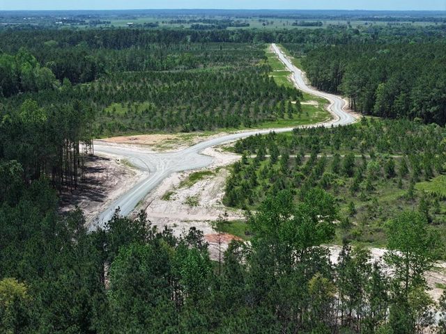 Tract 82 Collin St, Lovelady, TX 75851
