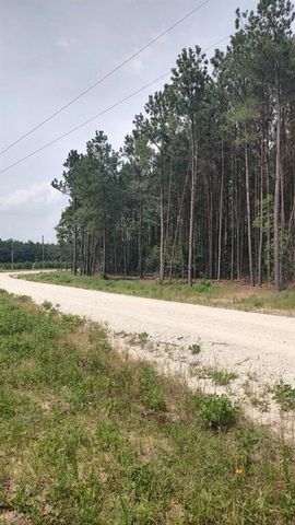 Tract 82 Collin St, Lovelady, TX 75851
