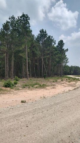 Tract 82 Collin St, Lovelady, TX 75851