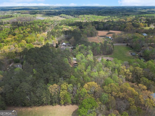 1201 Sid Hunter Road, Senoia, GA 30276