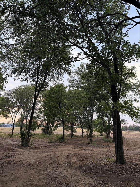 4808 County Road 707, Alvarado, TX 76009 — photo 4