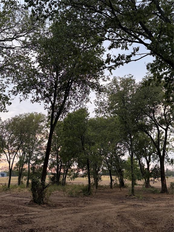 4808 County Road 707, Alvarado, TX 76009 — photo 5