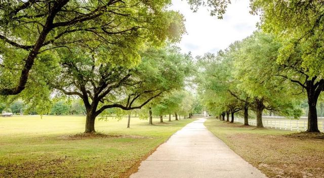 TBD Lakeside Court Lot 182, Hillister, TX 77624