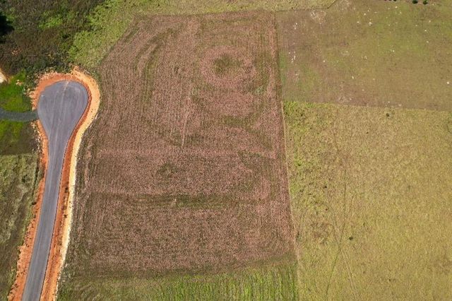 TBD Lakeside Court Lot 182, Hillister, TX 77624