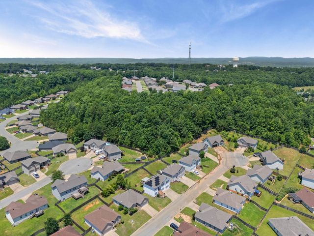 1007 Clinton Court, Alexander, AR 72002