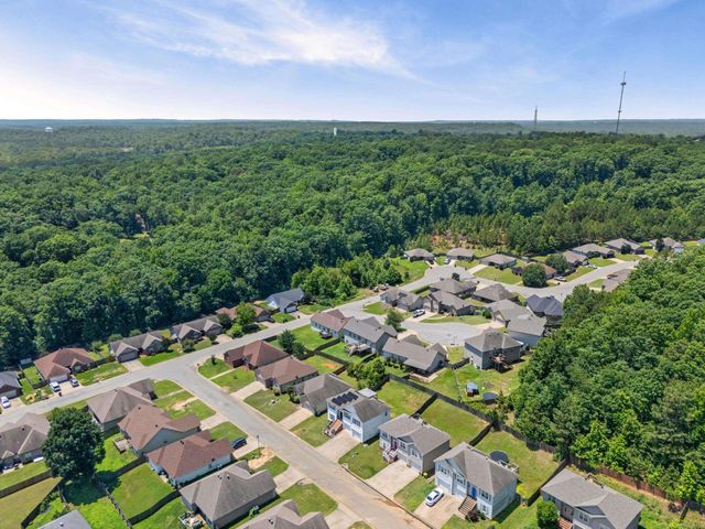 1007 Clinton Court, Alexander, AR 72002
