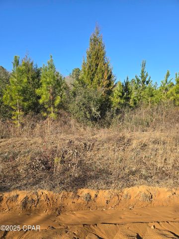 TBD Lot 3 Peanut Road, Cottondale, FL 32431