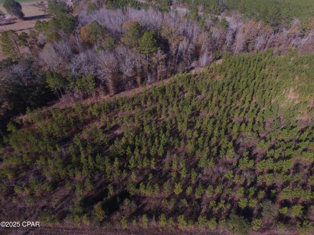 TBD Lot 3 Peanut Road, Cottondale, FL 32431