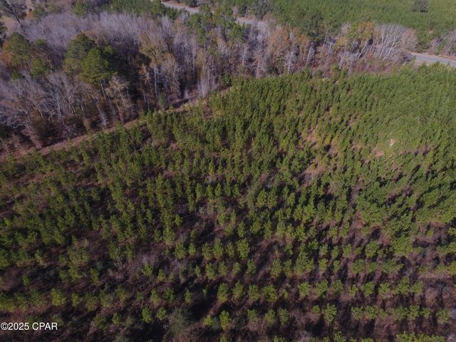 TBD Lot 3 Peanut Road, Cottondale, FL 32431