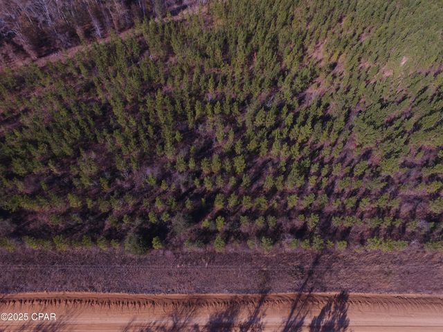 TBD Lot 3 Peanut Road, Cottondale, FL 32431