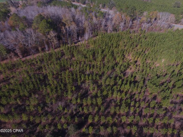 TBD Lot 3 Peanut Road, Cottondale, FL 32431