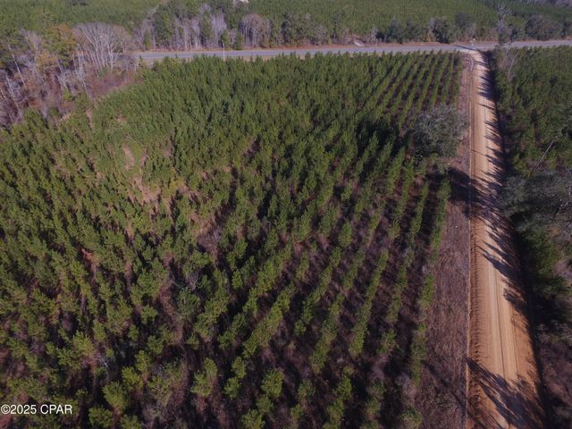 TBD Lot 3 Peanut Road, Cottondale, FL 32431