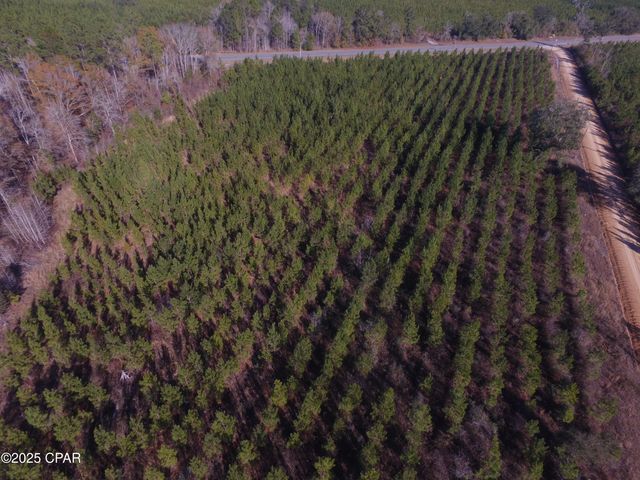 TBD Lot 3 Peanut Road, Cottondale, FL 32431