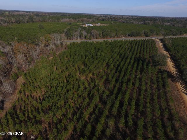 TBD Lot 3 Peanut Road, Cottondale, FL 32431