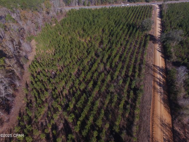 TBD Lot 3 Peanut Road, Cottondale, FL 32431