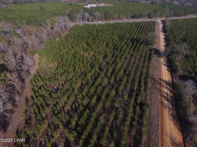 TBD Lot 3 Peanut Road, Cottondale, FL 32431