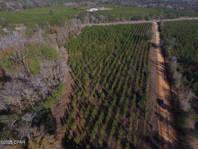 TBD Lot 3 Peanut Road, Cottondale, FL 32431