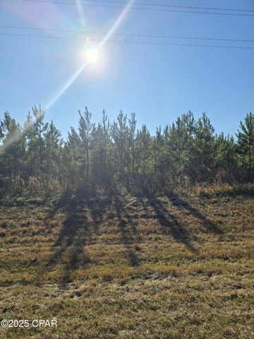 TBD Lot 3 Peanut Road, Cottondale, FL 32431