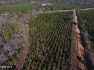 TBD Lot 3 Peanut Road, Cottondale, FL 32431