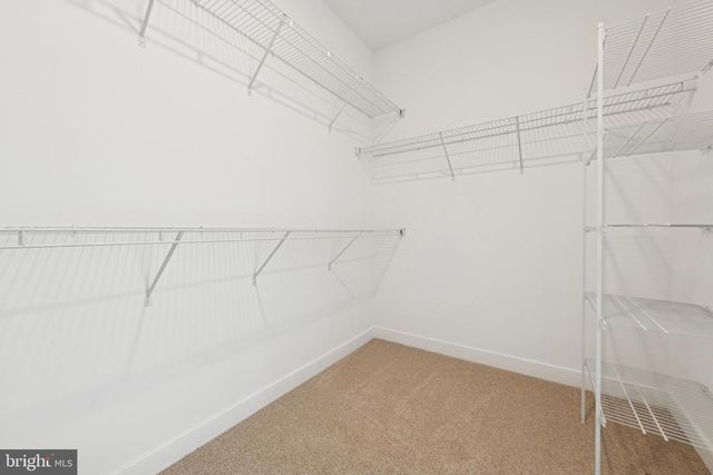 28729 SEEDLING DR, Milton, DE 19968