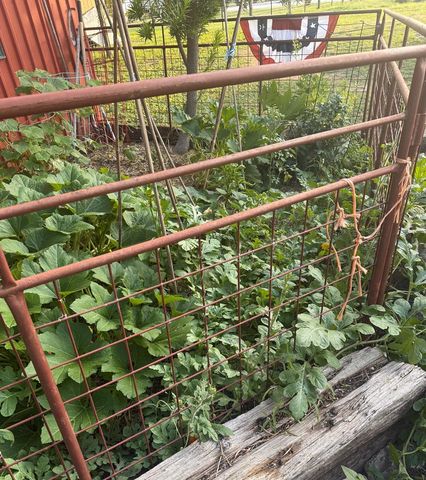 117 Reading, Center Point, TX 78010