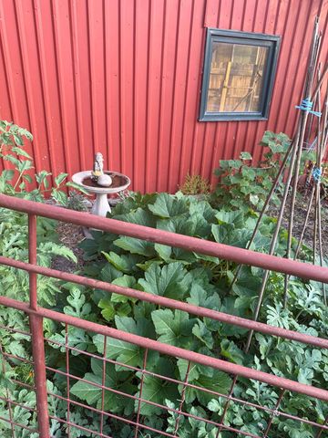 117 Reading, Center Point, TX 78010