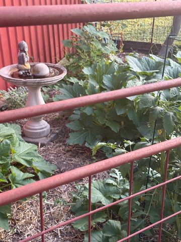 117 Reading, Center Point, TX 78010