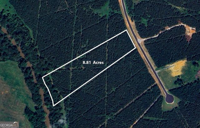 LOT 1 Steadman Lane, Tallapoosa, GA 30176